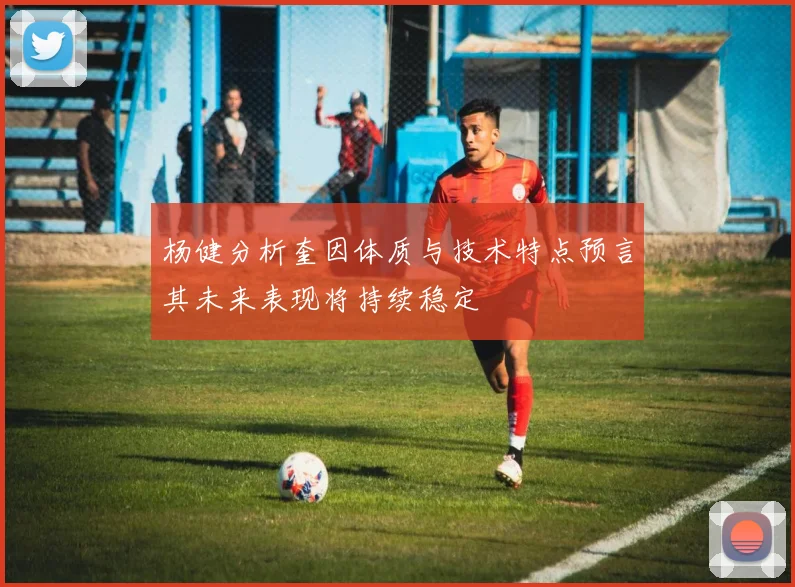 杨健分析奎因体质与技术特点预言其未来表现将持续稳定